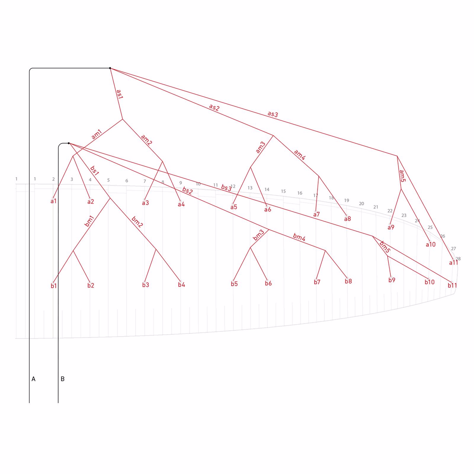 Bridle line set Dyneema for VMG2